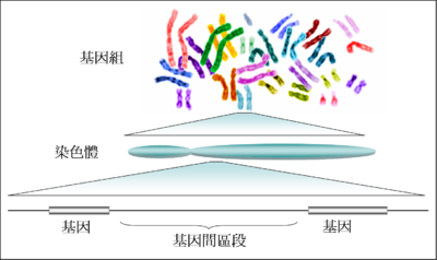 中合基因完成Pre-A轮融资 加速DNA生物合成装备产业化应用