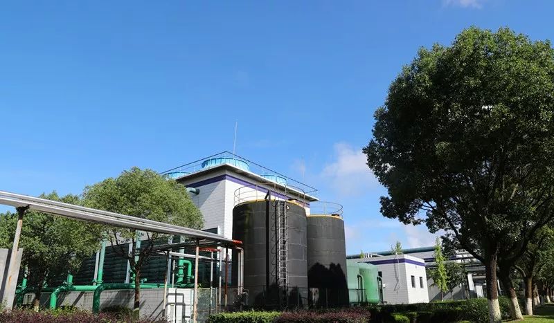 星竹投资杨力：投资行业出清，有实力、有信心、有定力的机构将存活下去