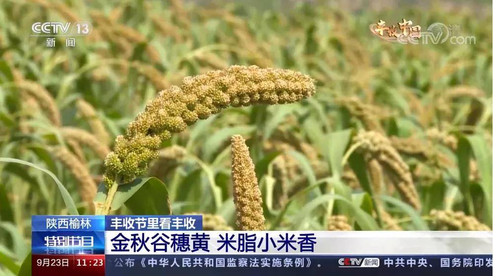 榆煤基金秦笙：行业低谷中做退出，跟老LP多进行沟通很重要