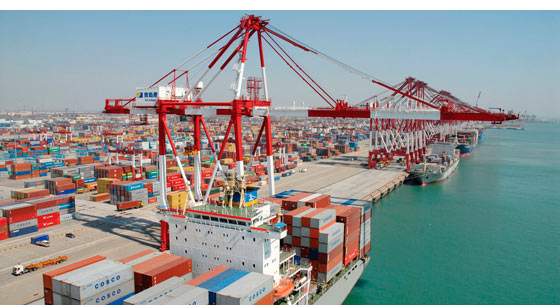 信宸资本信跃升：一级股权投资市场正经历“三好一坏”局面