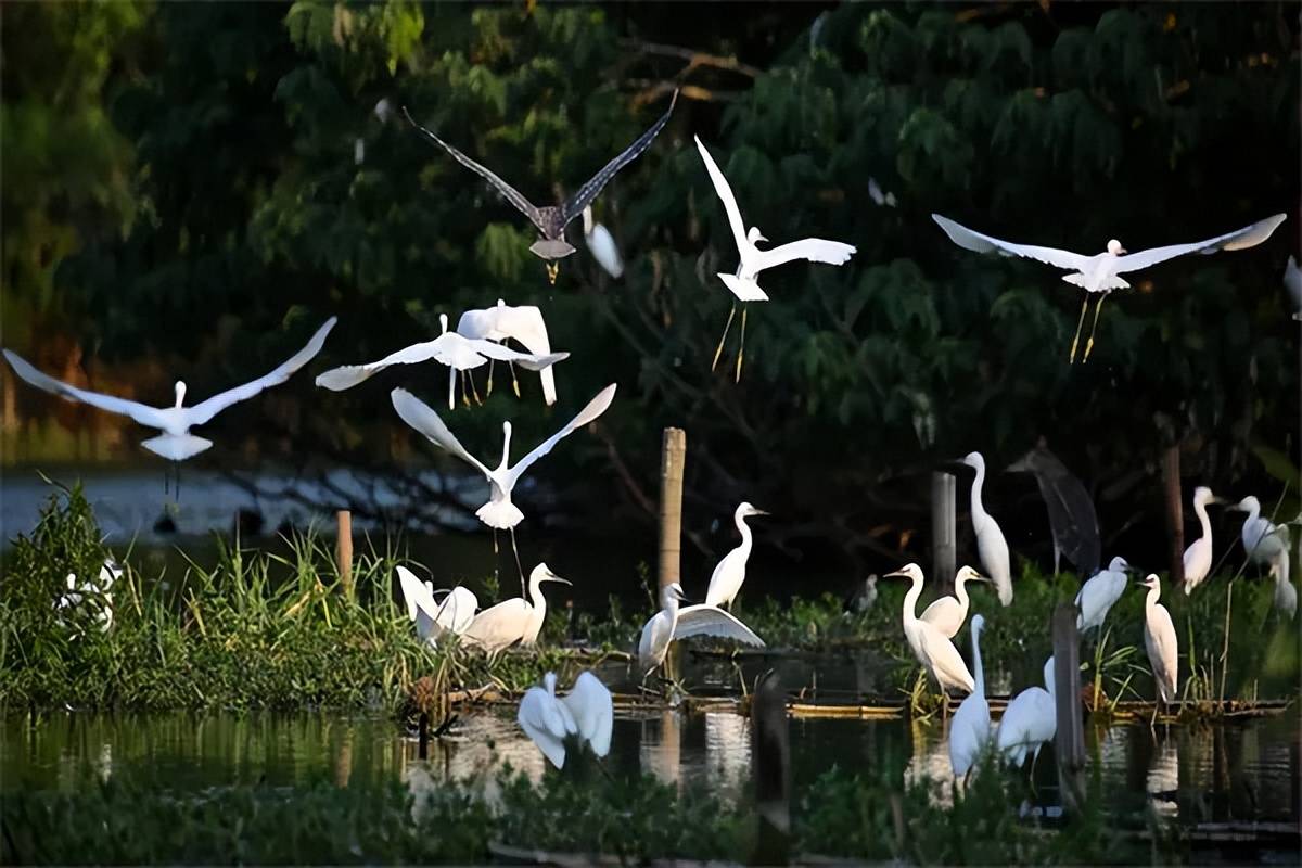 投早投小投科技，创投助力发展新质生产力丨解码“创投十七条”