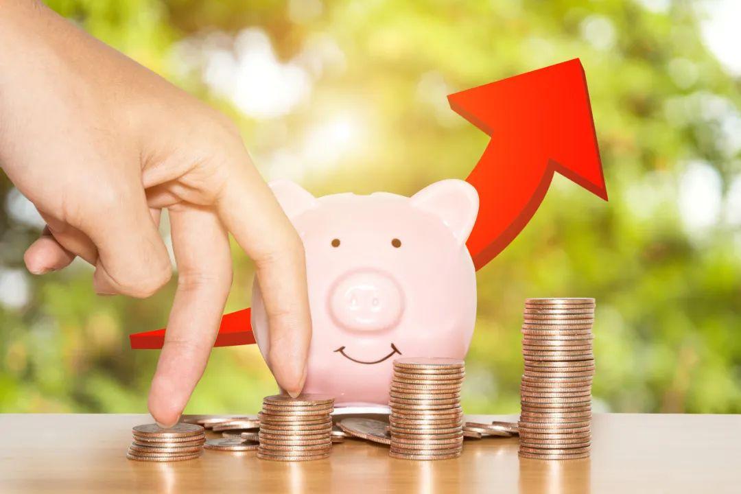 搜狐(NASDAQ：SOHU)重拾增长，差异化“路线图”加码信心