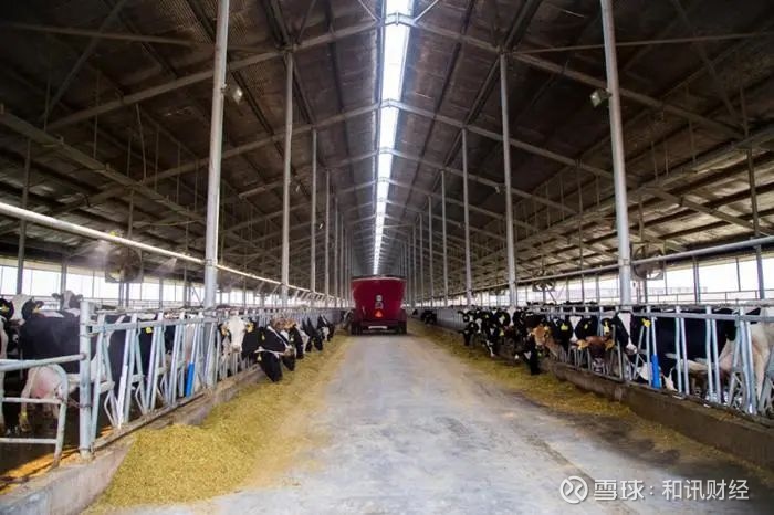 增速新高背后，361度（1361.HK）开启了创新驱动下的质价比革命