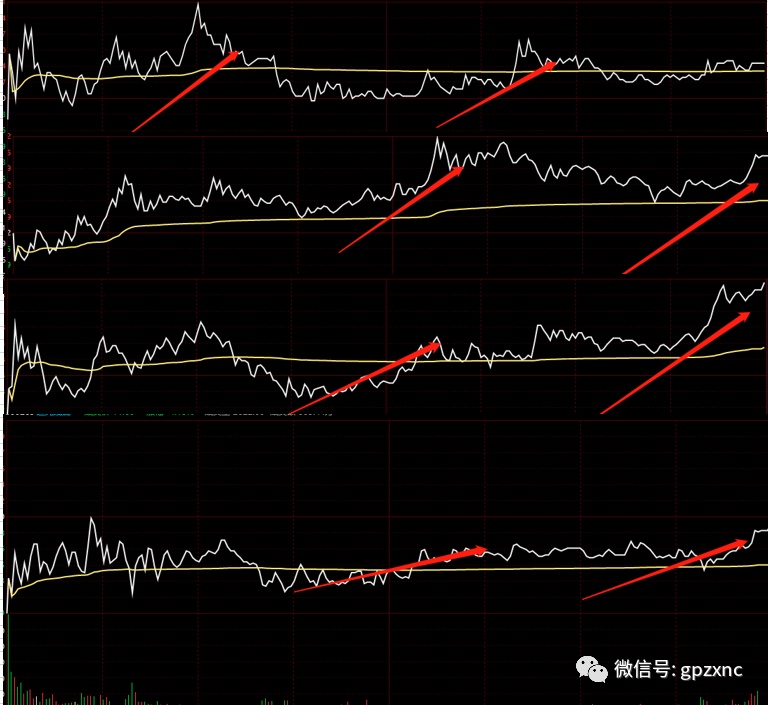 股交所下场做GP！投什么、怎么退？