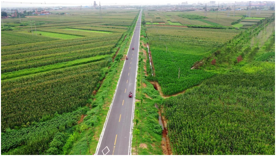 河南投资集团:凝聚创新要素形成发展合力 推动河南创投再上新台阶