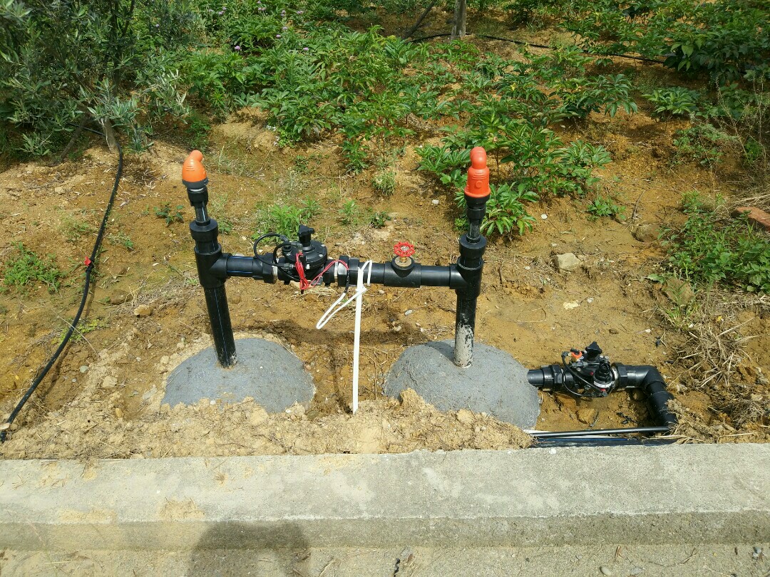 专注打造交易所平台 滴灌通澳交所发布整体市场系统“滴灌之星”