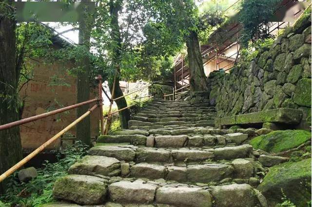 民宿被谁抛弃？