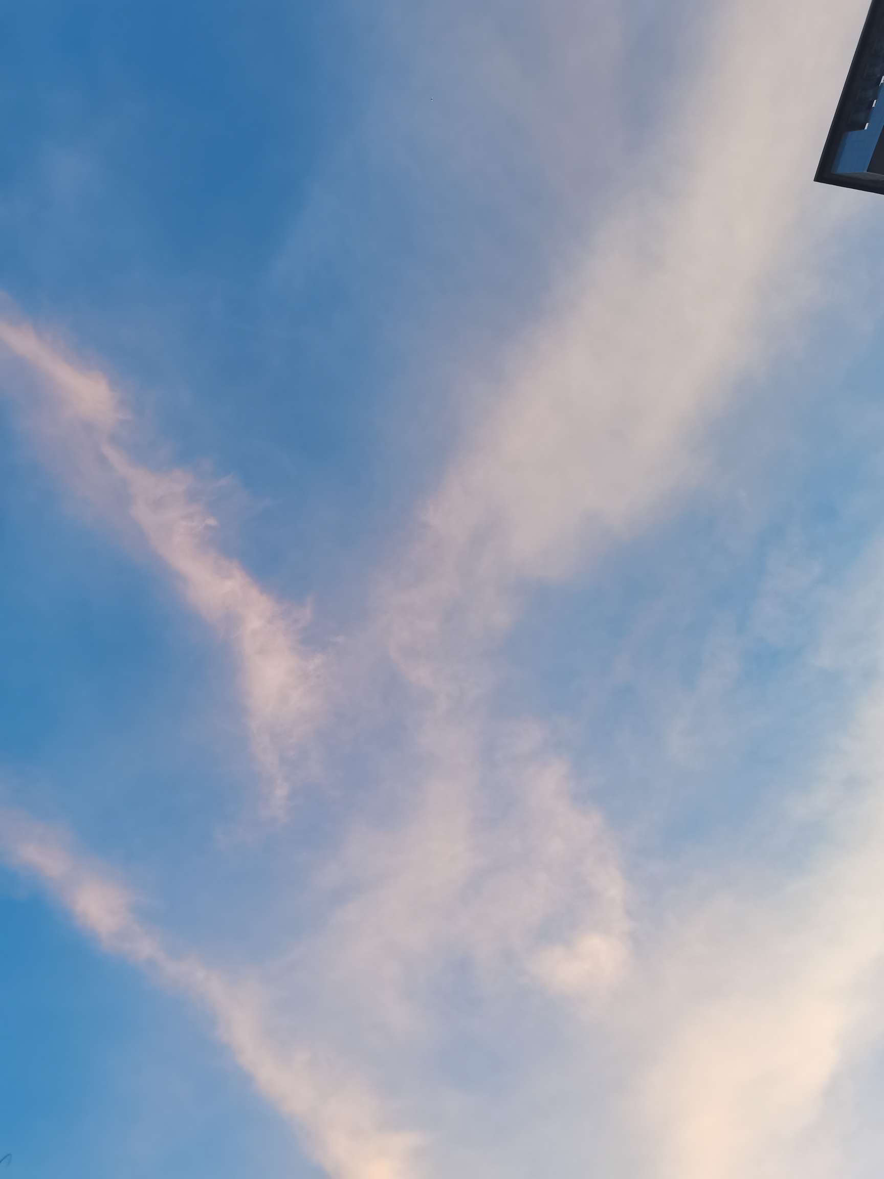 又一“量子股”将至？