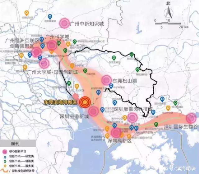 创业“明星”受追捧，一场百万奖金国际创业大赛折射大湾区科创“聚合效应”