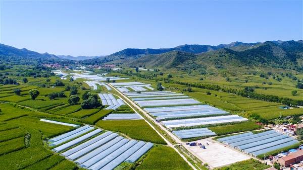 沈志群：中国创投行业将开启高质量发展的新局面