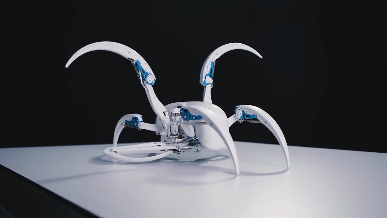 高薪招聘！蚂蚁下场自研智能人形机器人