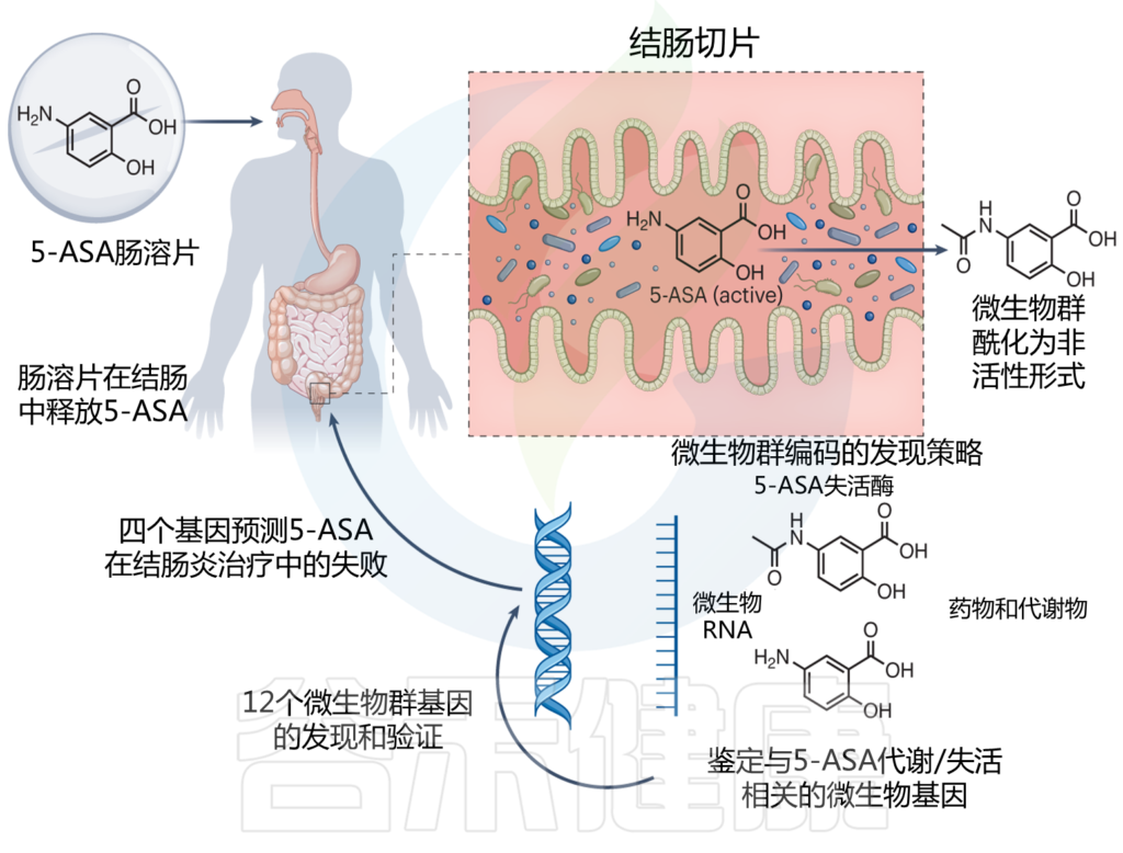 珂阑医药完成超亿元A+轮融资 推动胆固醇代谢领域创新药物研发