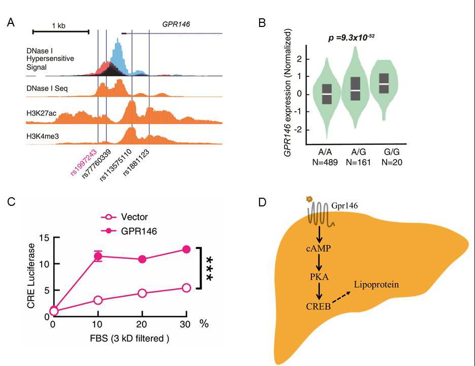 珂阑医药完成超亿元A+轮融资 推动胆固醇代谢领域创新药物研发