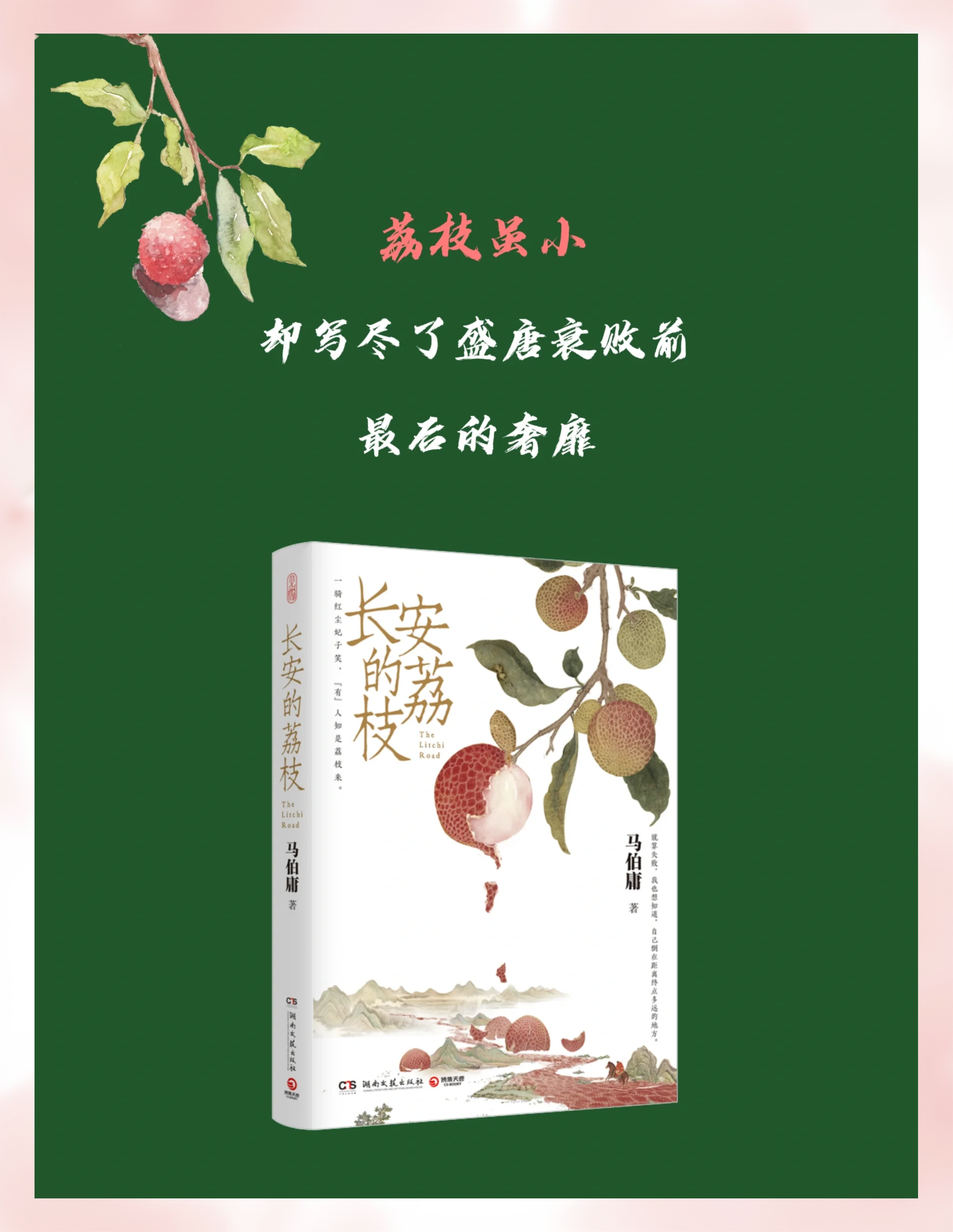 从《长安的荔枝》看创业投资人的修炼