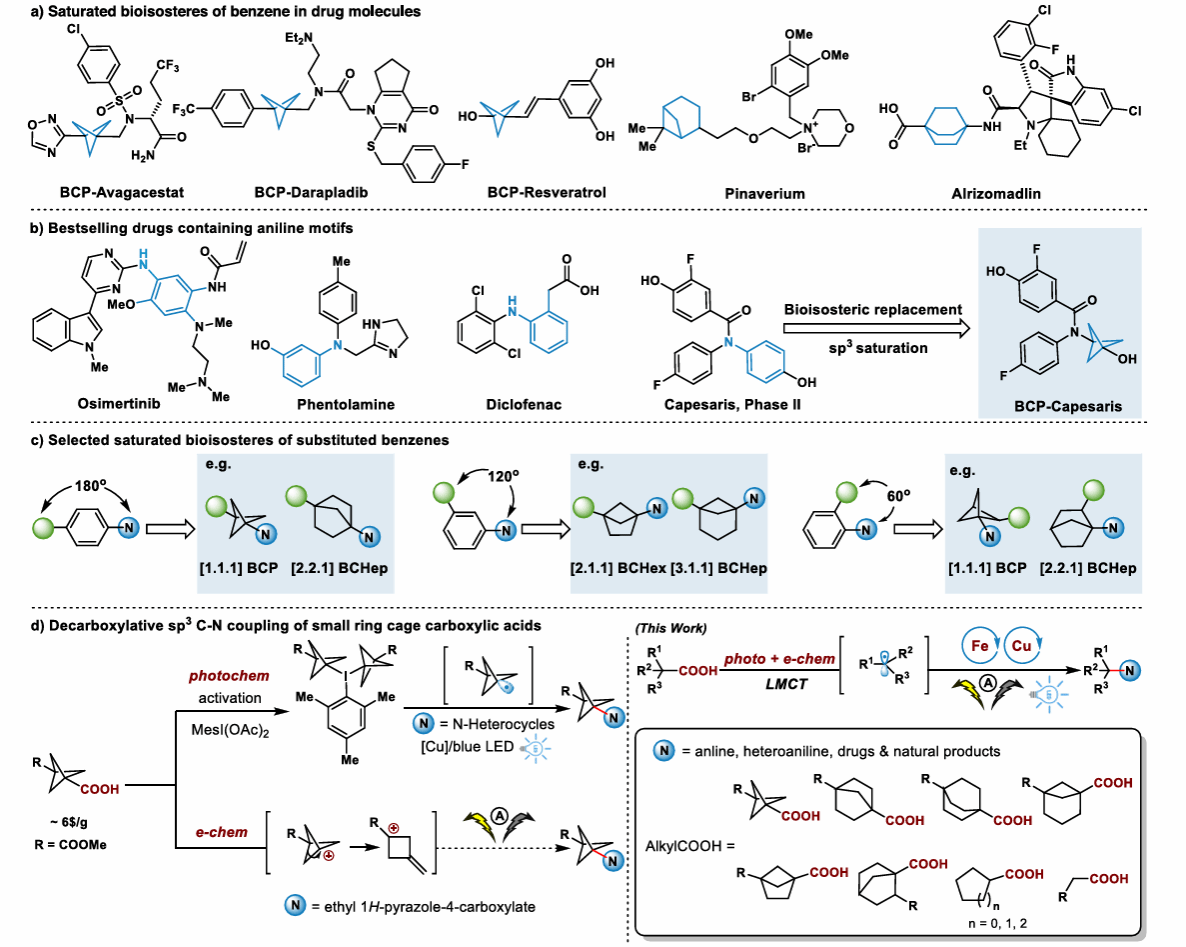 对话深圳先进院钟超：合成生物市场正回归理性